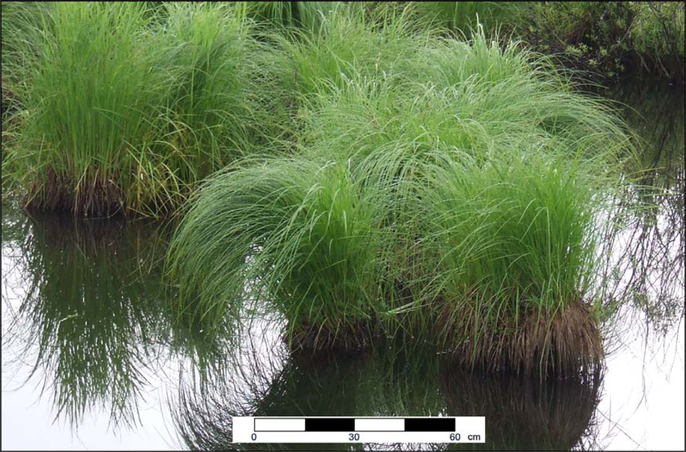 Remotesensing 04 00194f2