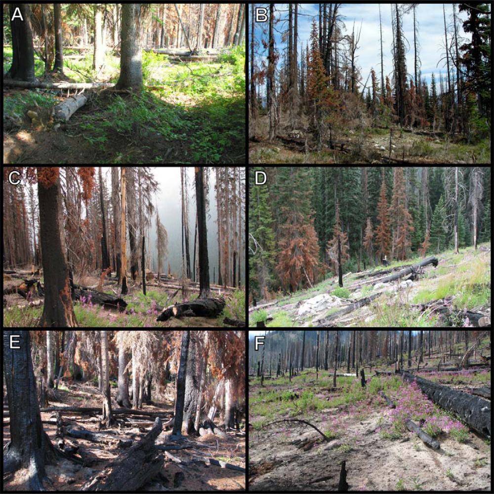 Remotesensing 04 00456f7