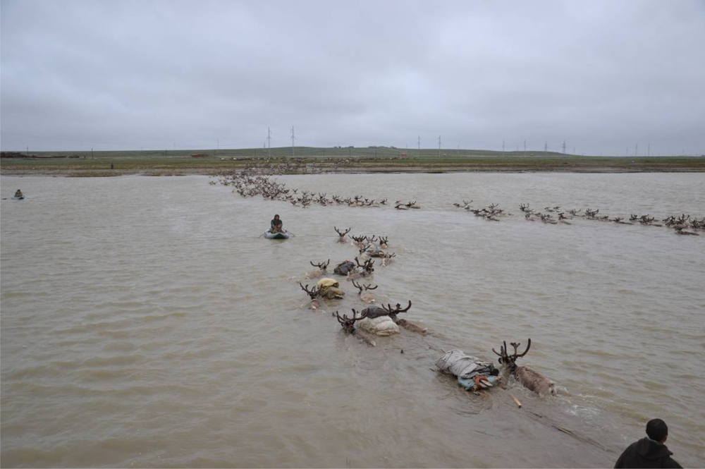 Remotesensing 04 01046f3