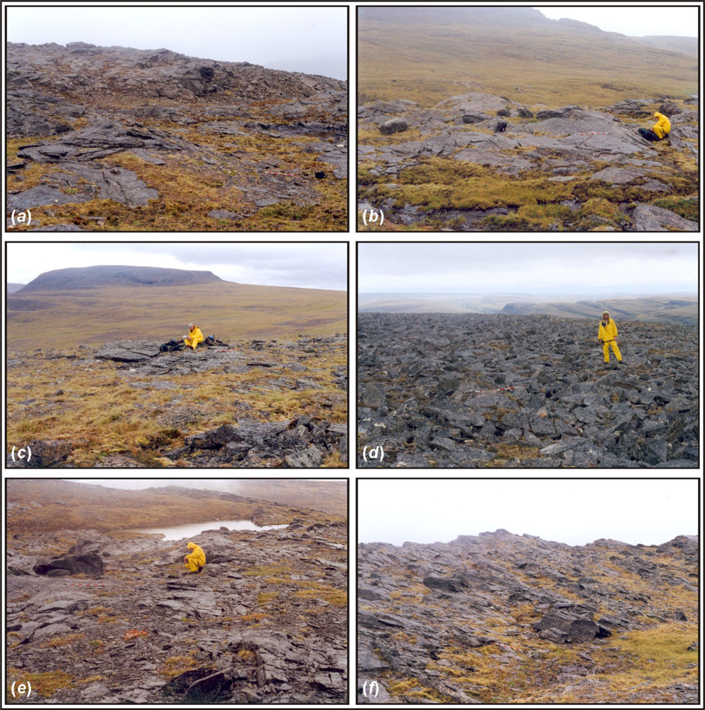 Remotesensing 04 01208f6