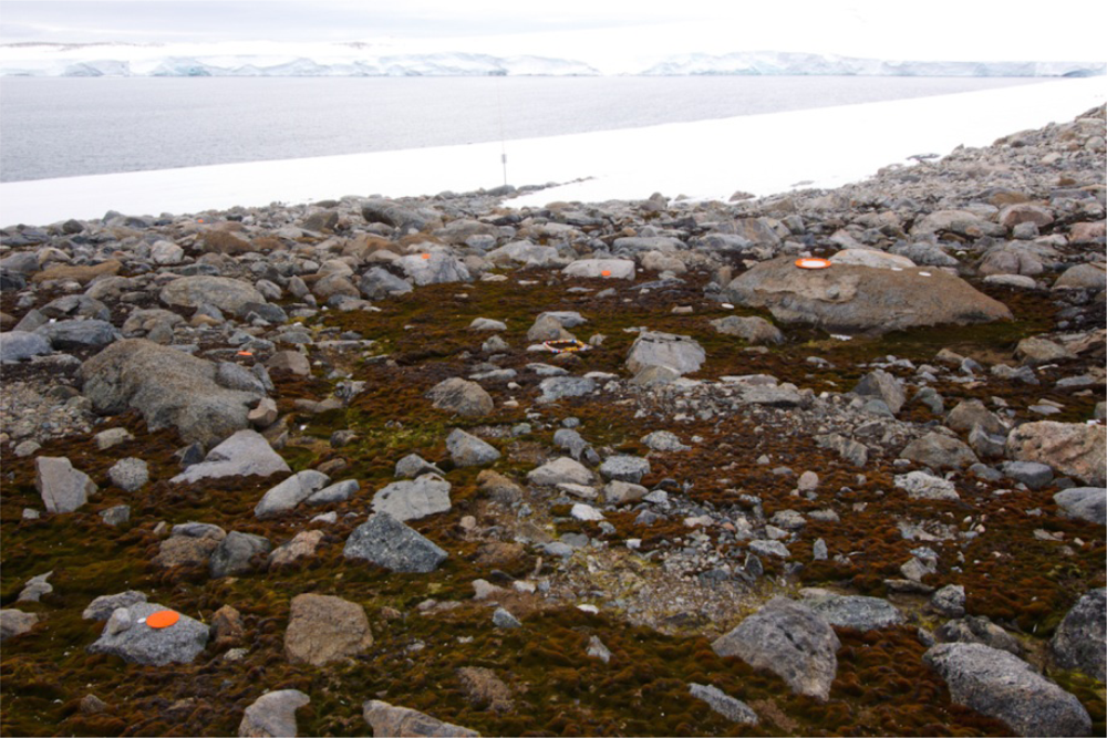 Remotesensing 04 01392f4