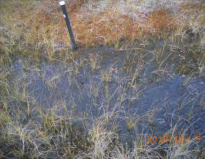 Remotesensing 04 01887i05