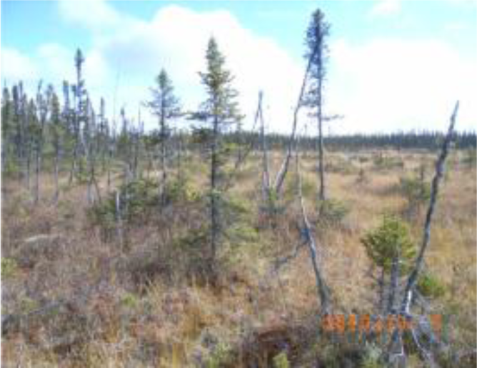 Remotesensing 04 01887i09