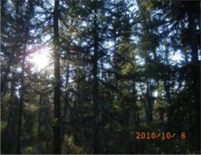 Remotesensing 04 01887i10