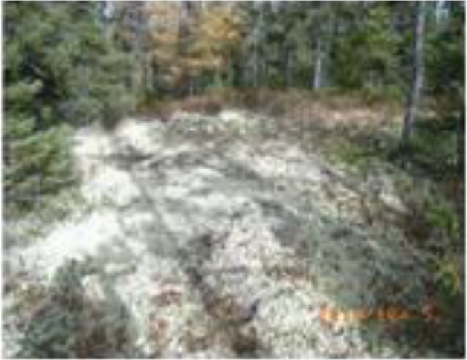 Remotesensing 04 01887i11