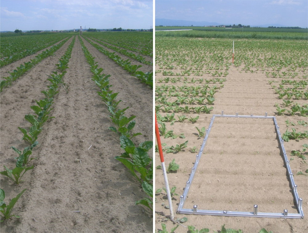 Remotesensing 04 02016f3