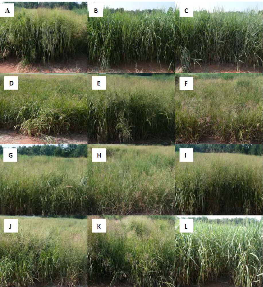 Remotesensing 04 02576f1