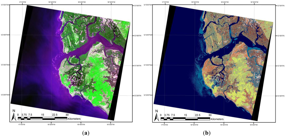 Remotesensing 04 02768f13