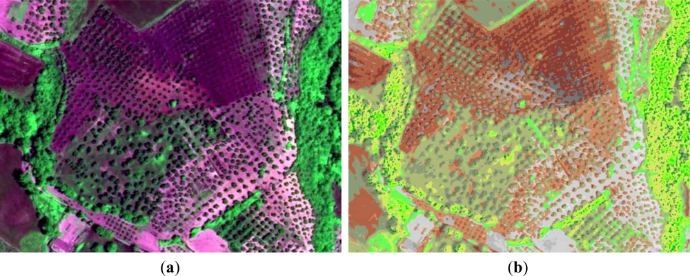 Remotesensing 04 02768f3