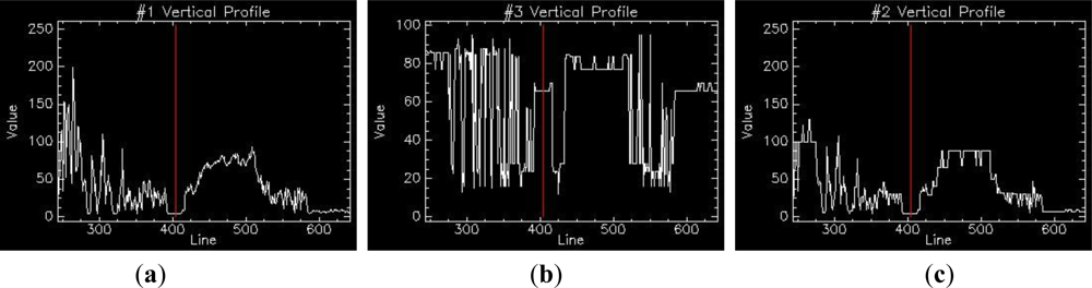 Remotesensing 04 02768f5