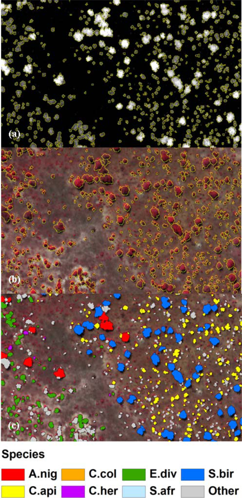 Remotesensing 04 03462f5