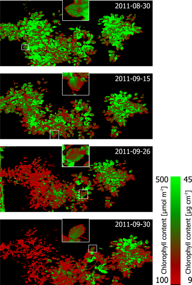 Remotesensing 04 03721f13
