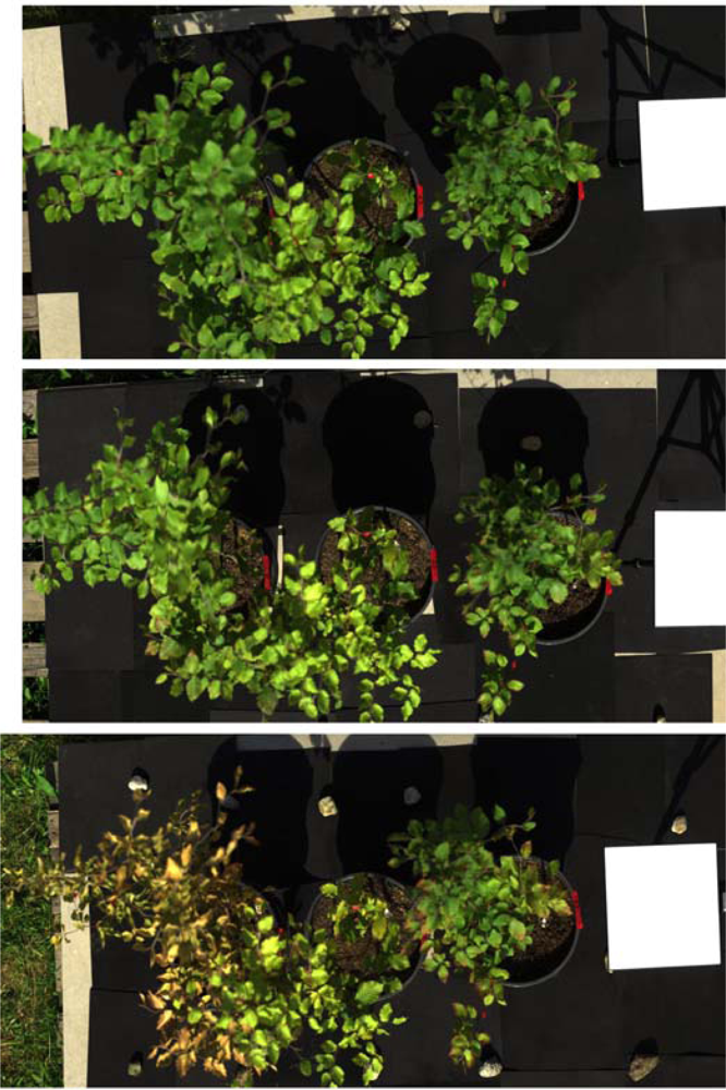 Remotesensing 04 03721f2a