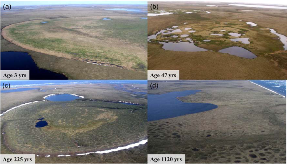 Remotesensing 04 03741f2