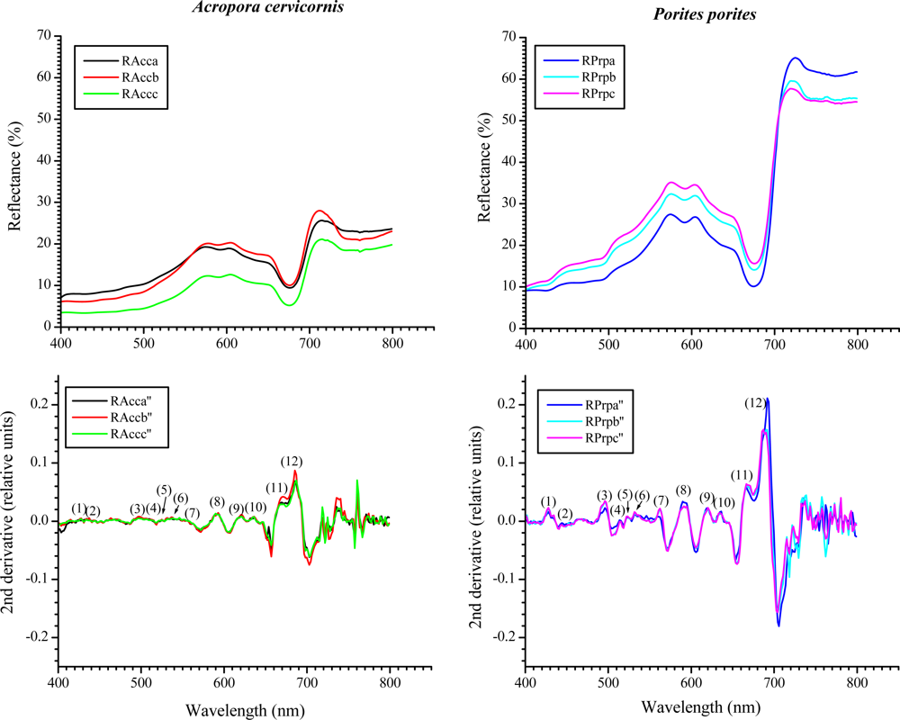 Remotesensing 04 03813f5