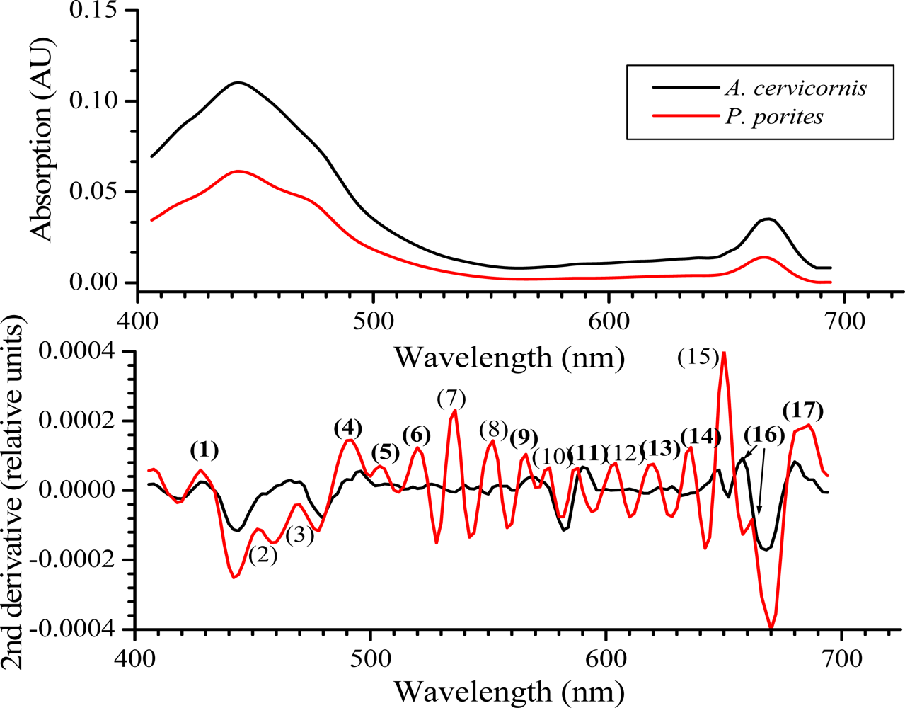 Remotesensing 04 03813f6
