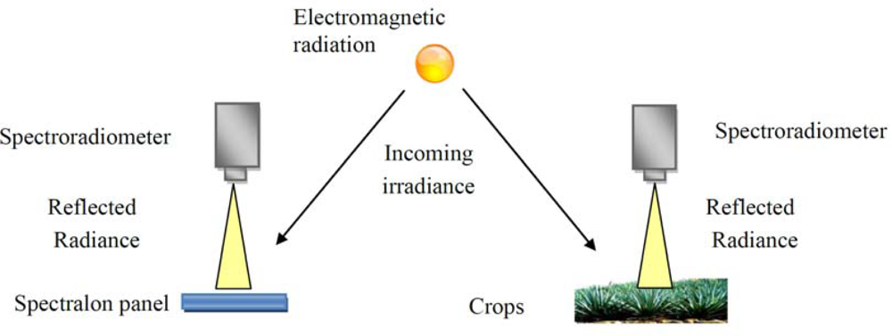 Remotesensing 04 03892f3