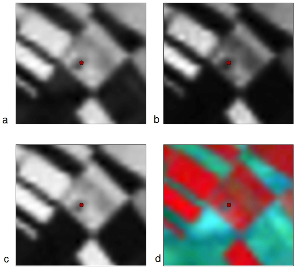 Remotesensing 04 03892f8