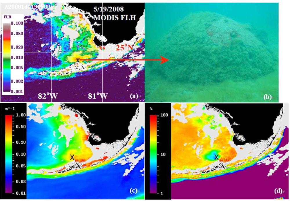 Remotesensing 05 00415f9