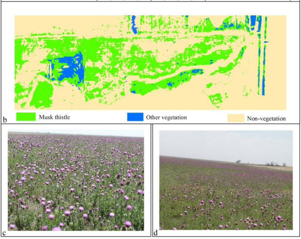 Remotesensing 05 00612f3b 1024