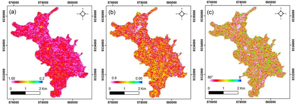 Remotesensing 05 03101f5