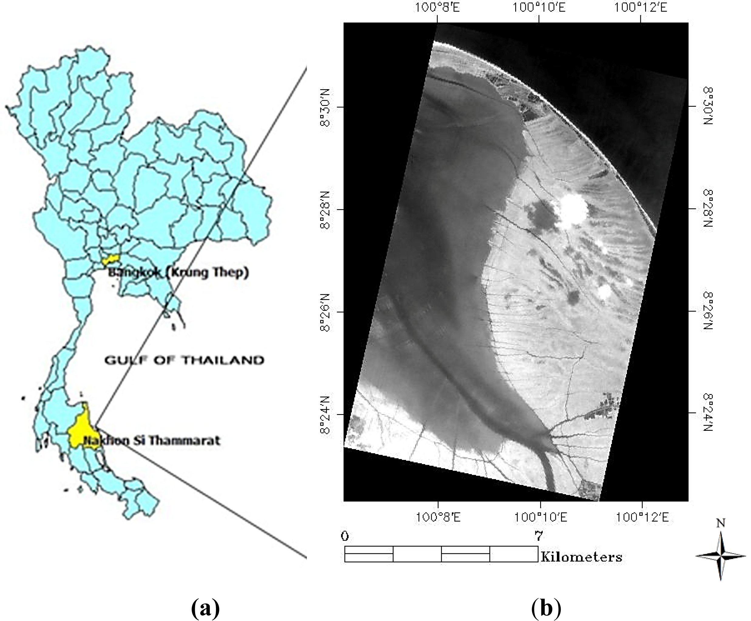 Remotesensing 05 03562f1