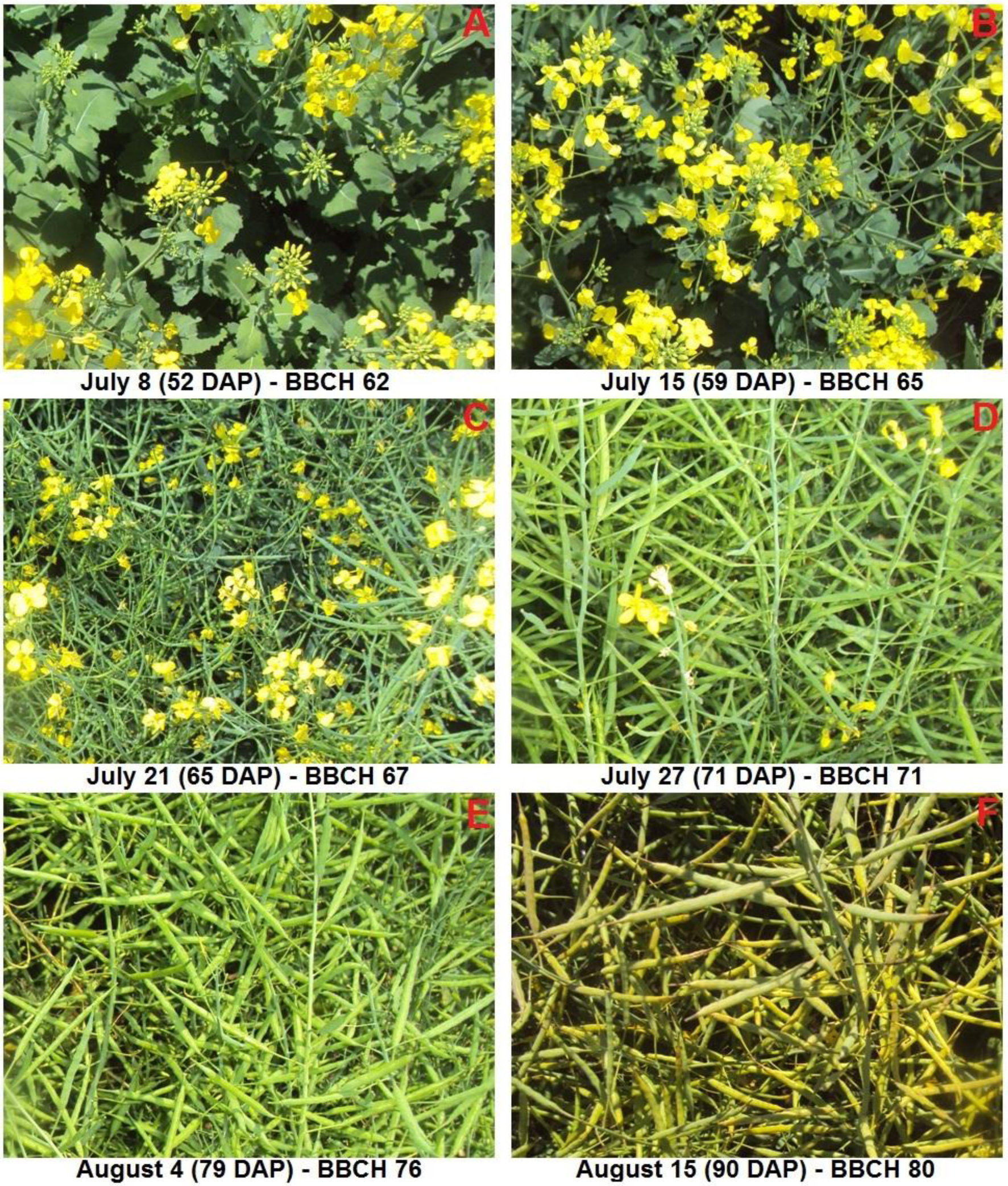 Remotesensing 06 00925f2