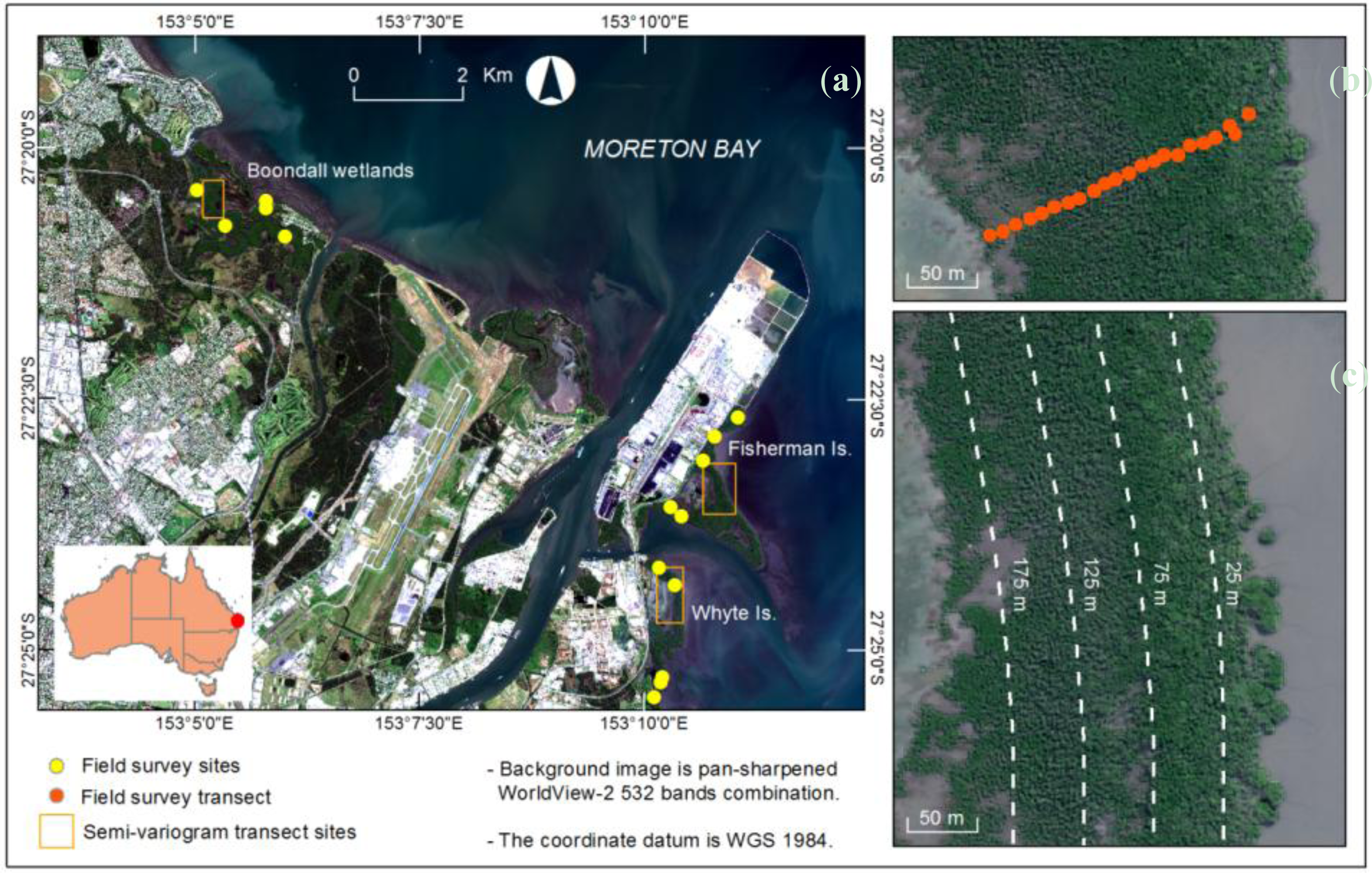 Remotesensing 06 00984f1