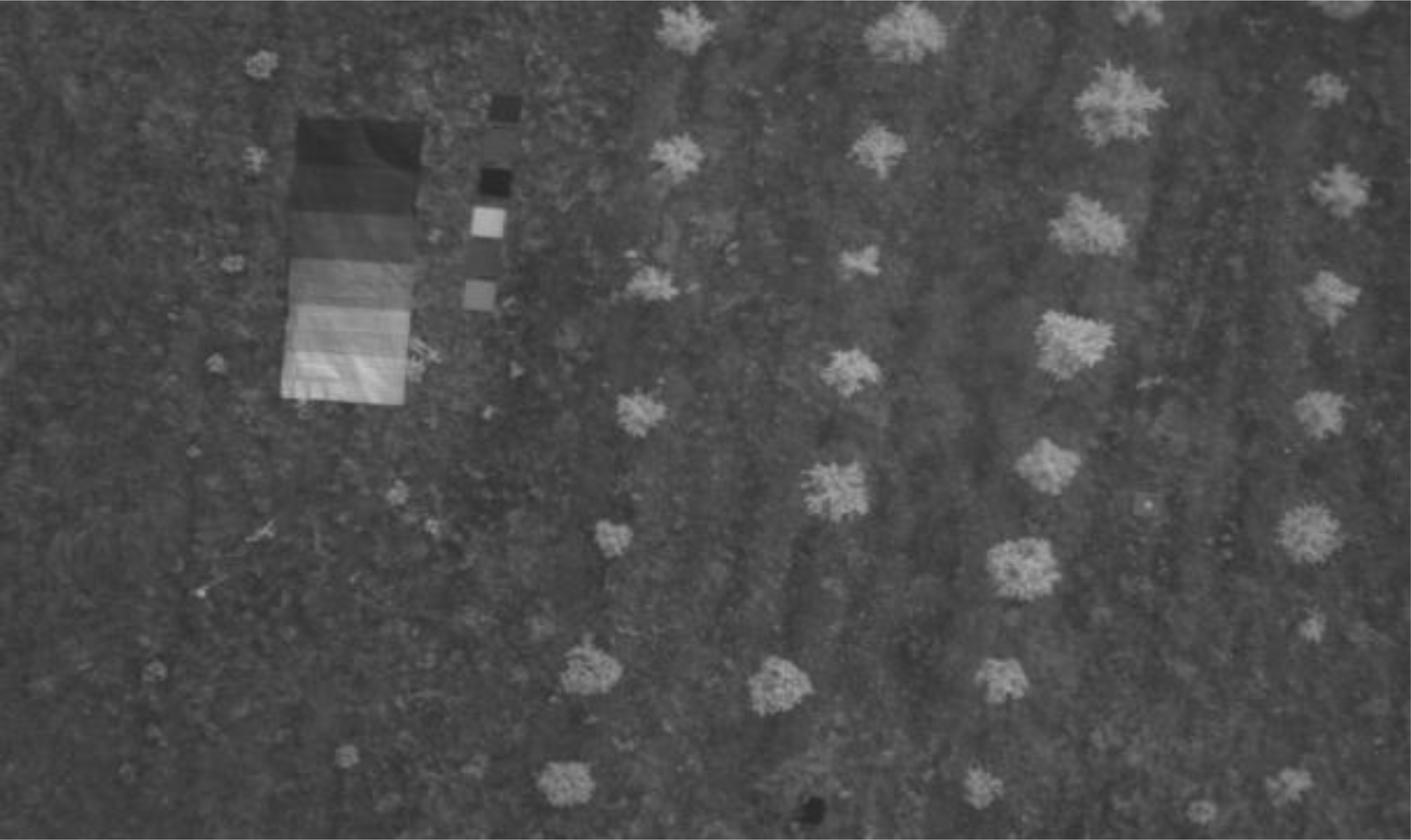 Remotesensing 06 01918f9