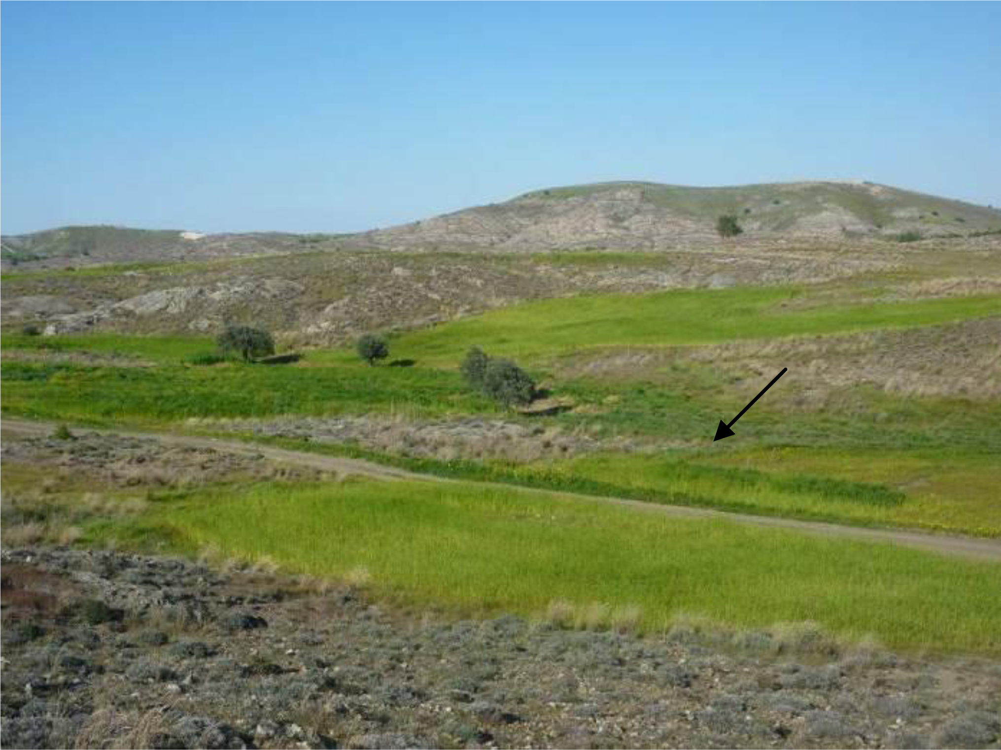 Remotesensing 06 02176f1