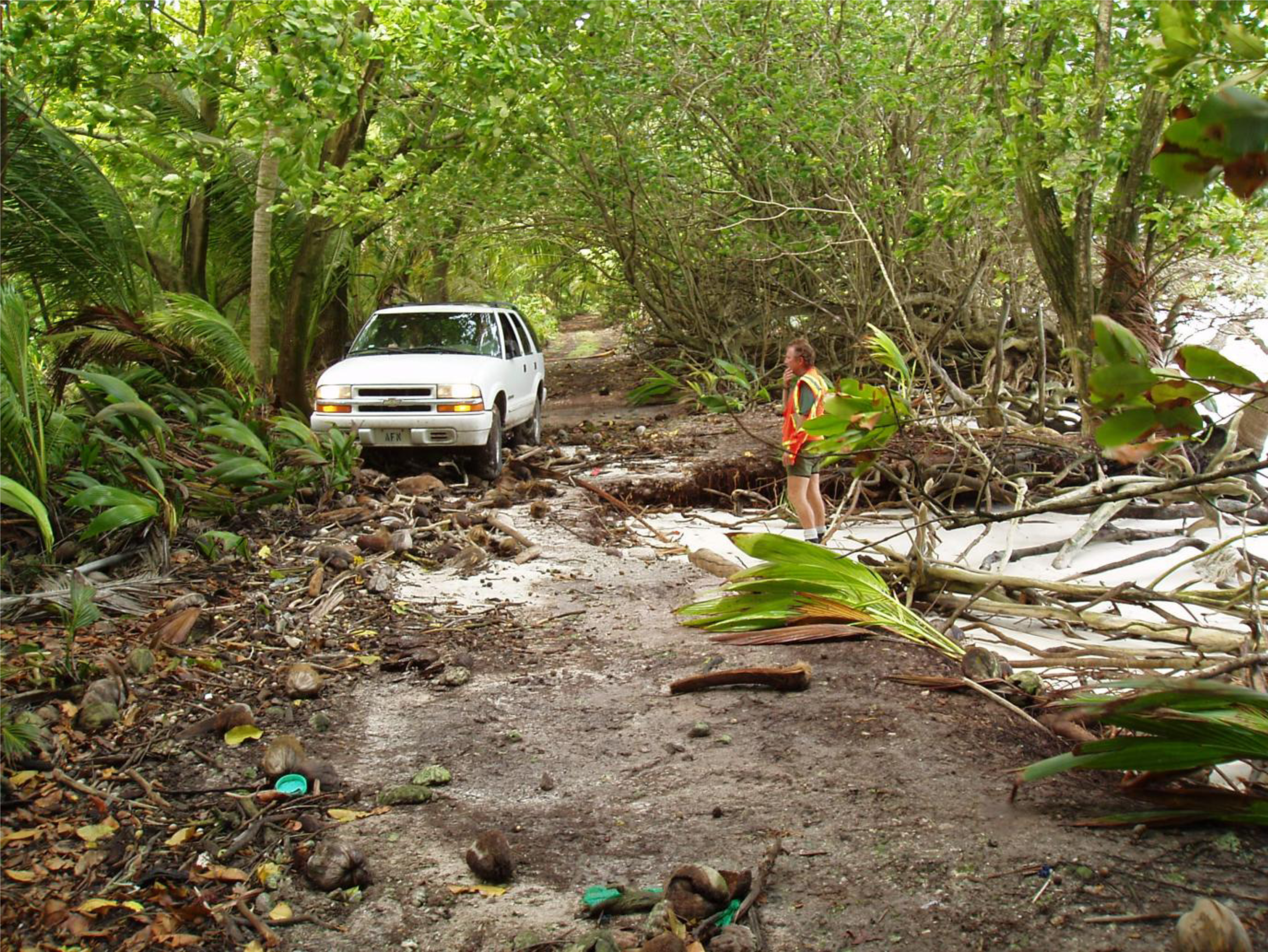 Remotesensing 06 02463f3