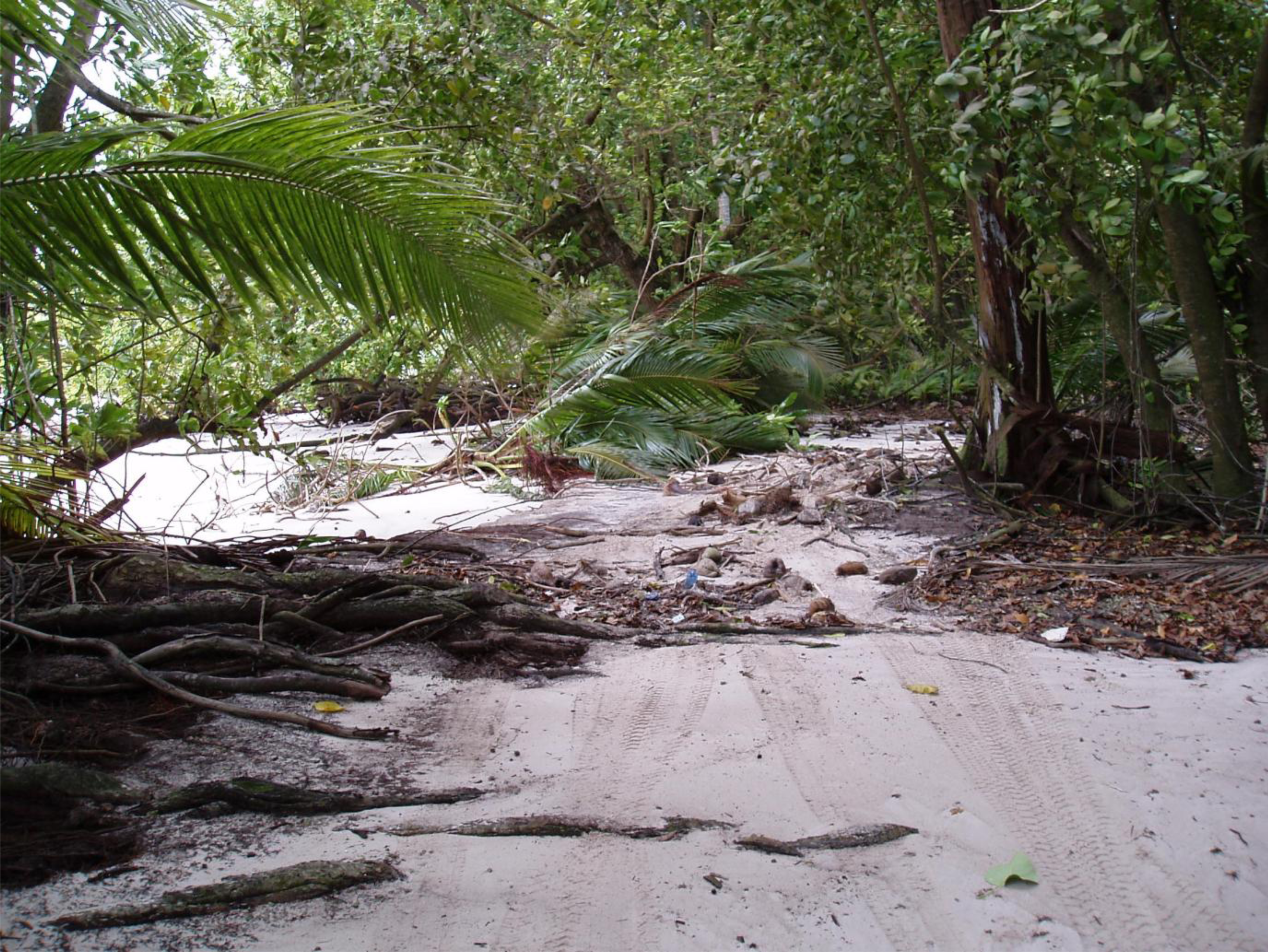 Remotesensing 06 02463f4