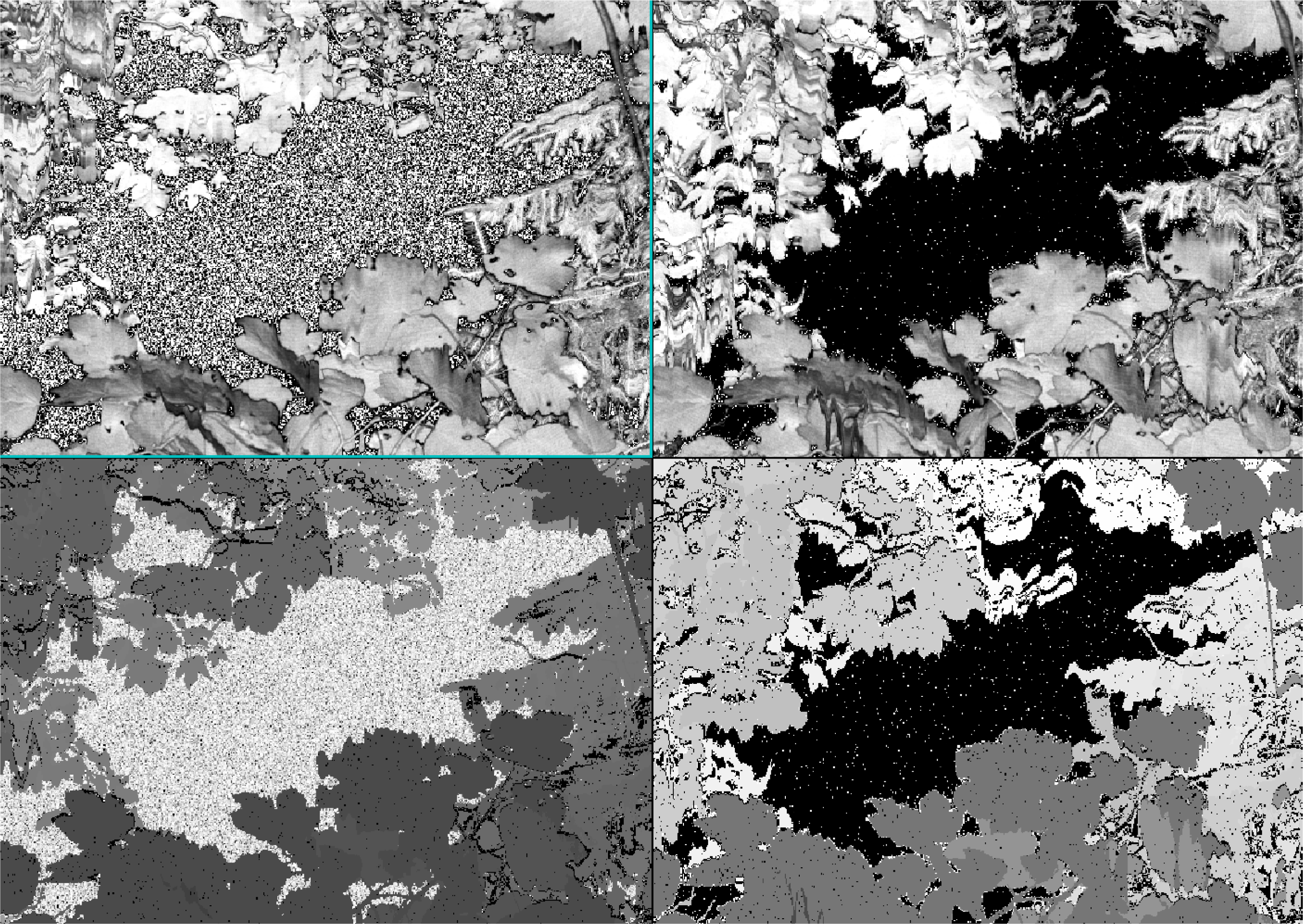 Remotesensing 06 02601f2