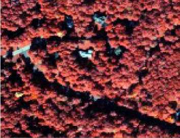 Remotesensing 06 03369i1