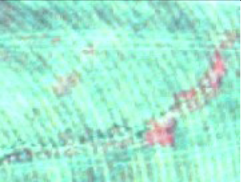 Remotesensing 06 03369i4