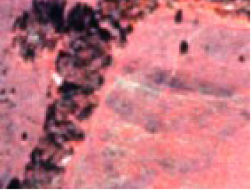 Remotesensing 06 03369i6