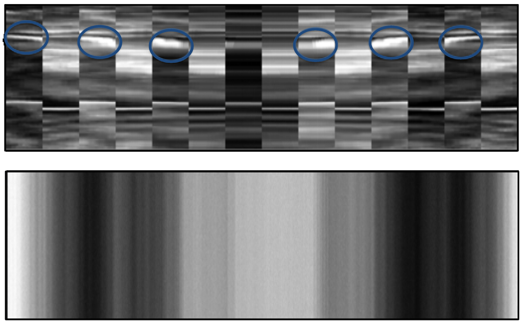 Remotesensing 06 10523 g011 1024