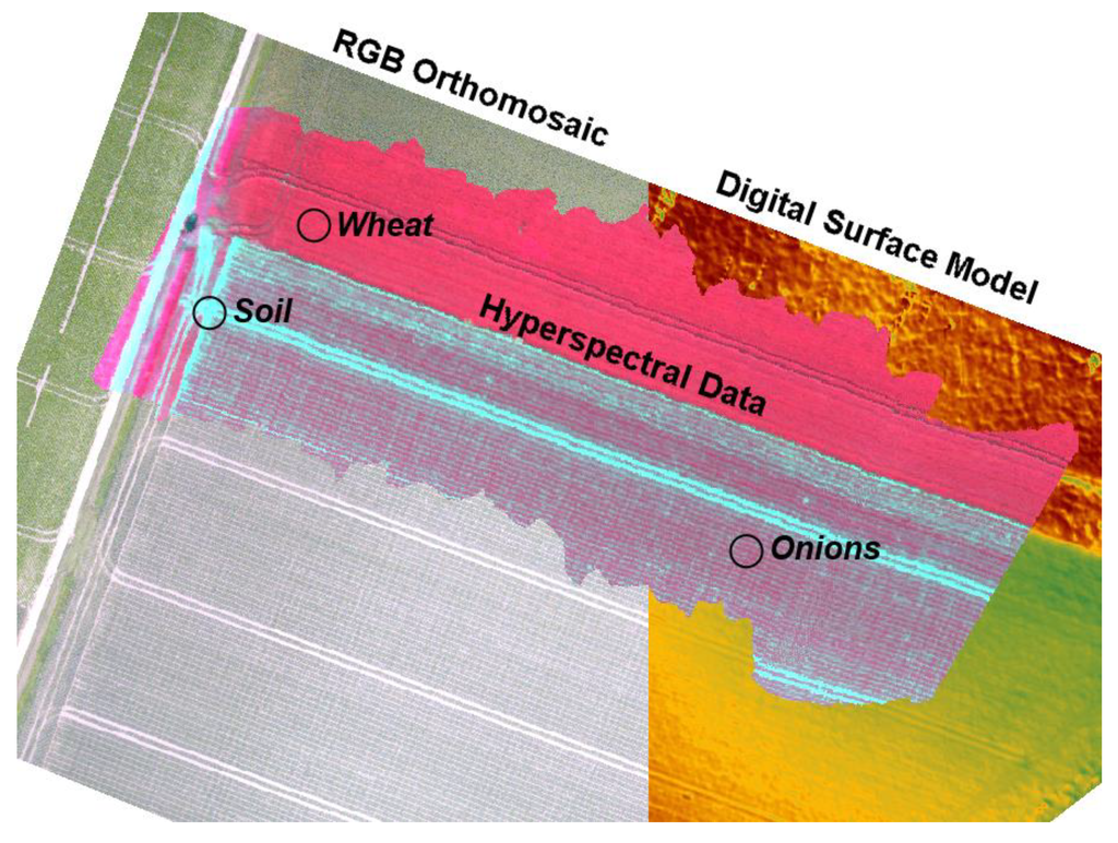 Remotesensing 06 11013 g004 1024