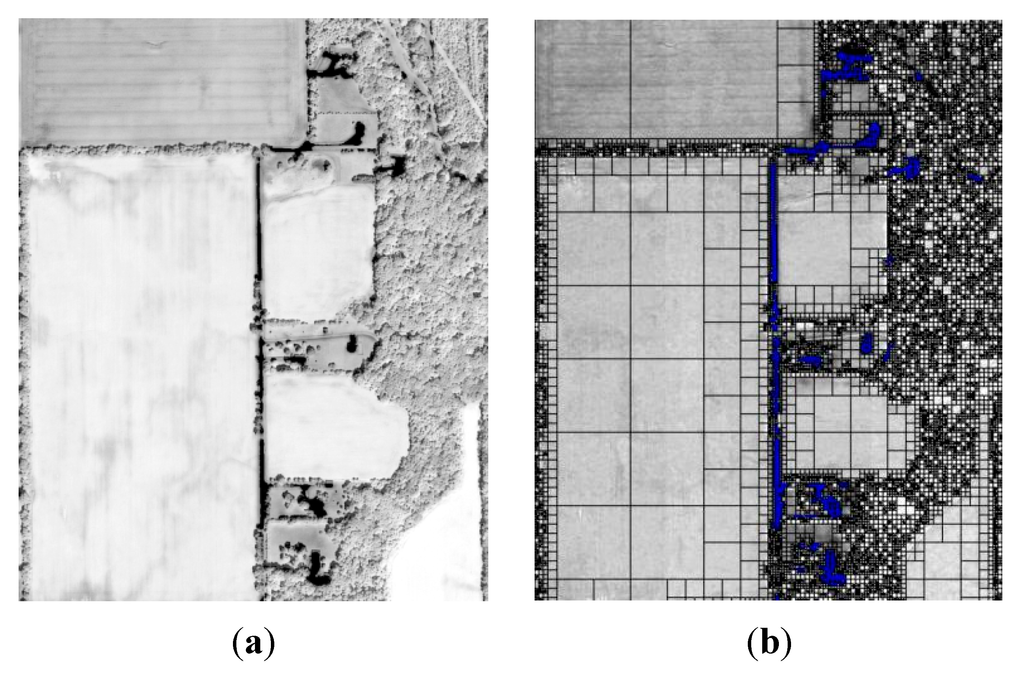Remotesensing 06 11372 g004 1024