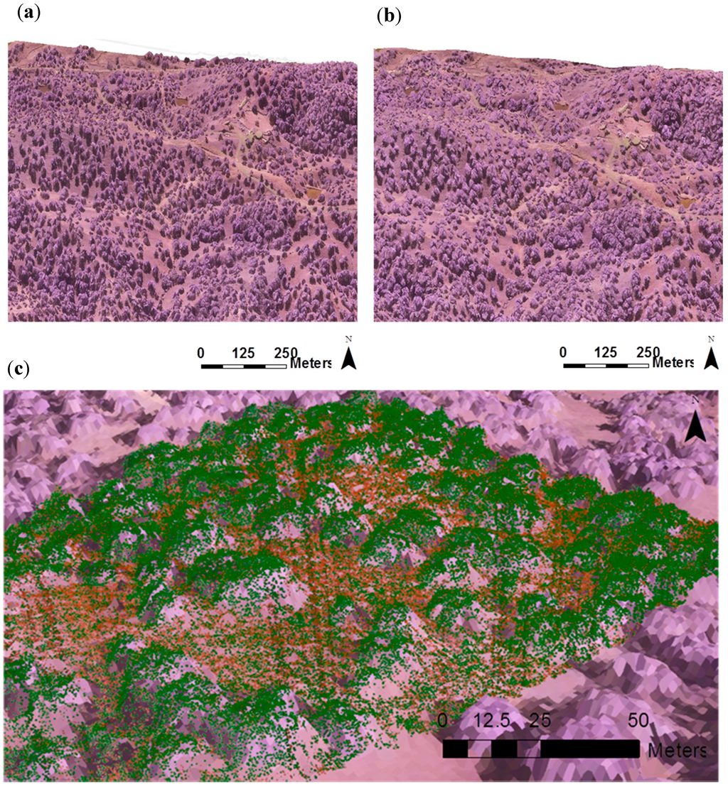 Remotesensing 06 11627 g002 1024