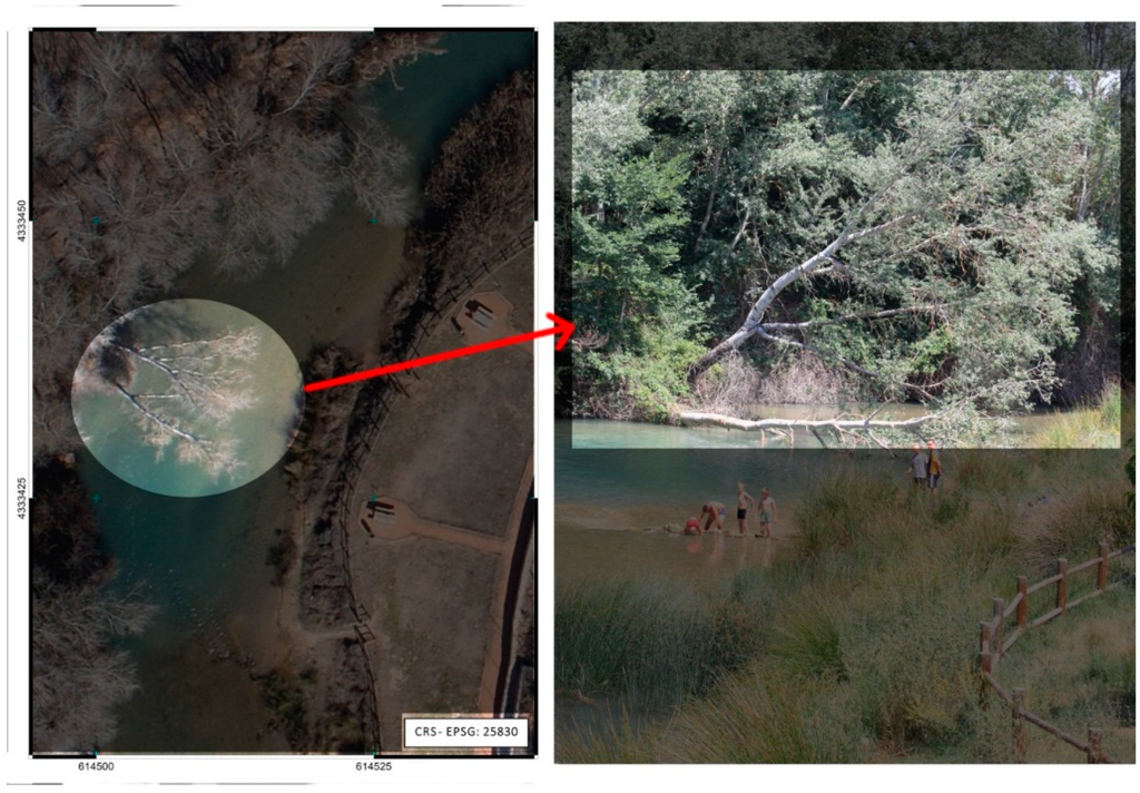 Remotesensing 06 11770 g007 1024