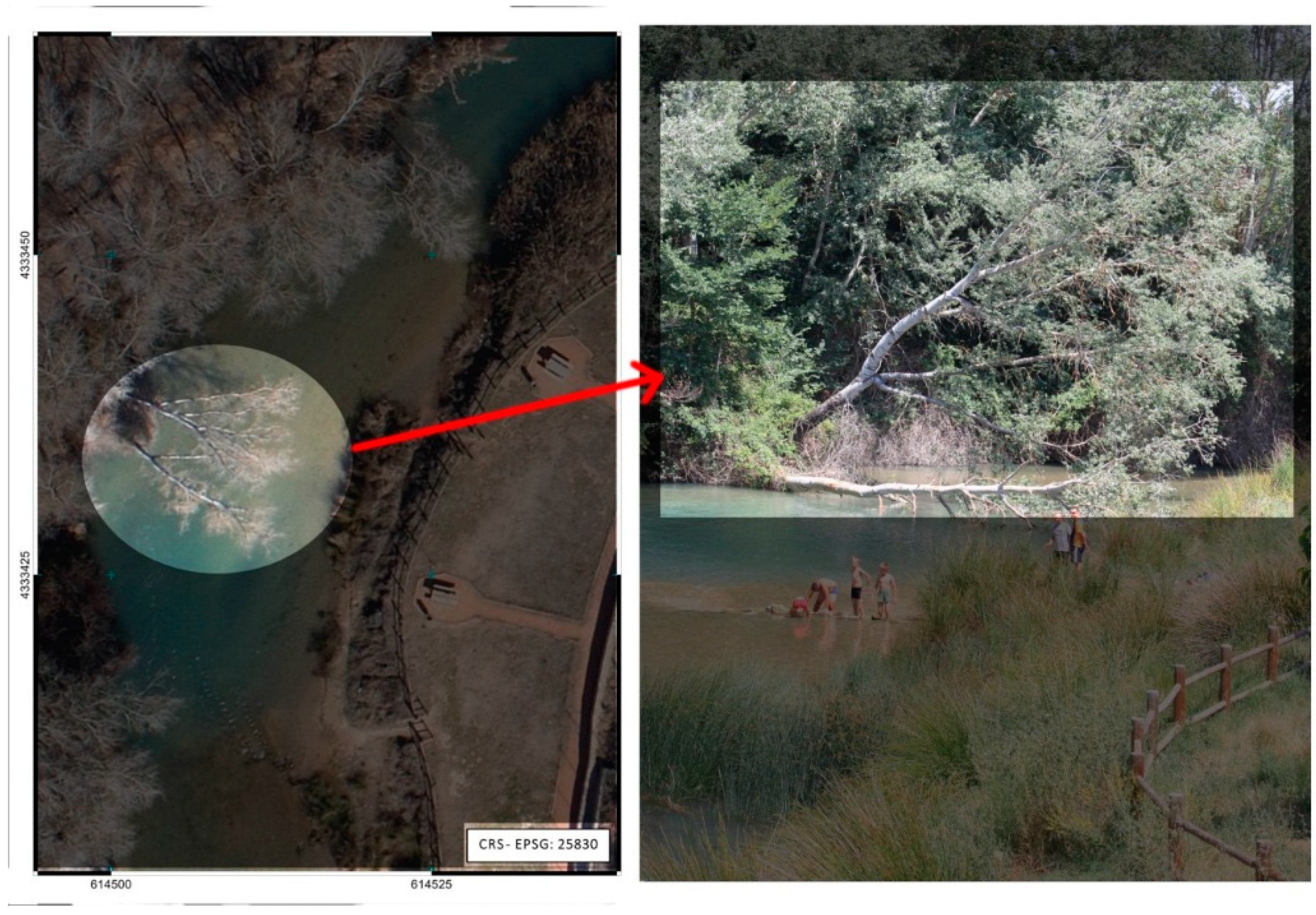 Remotesensing 06 11770 g007