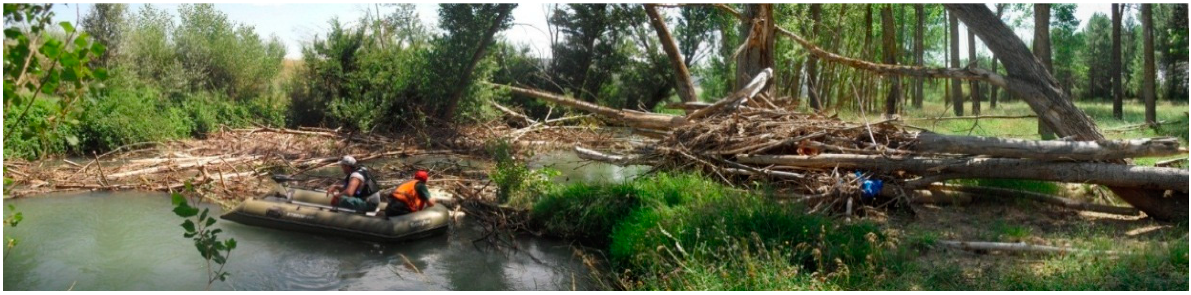 Remotesensing 06 11770 g011