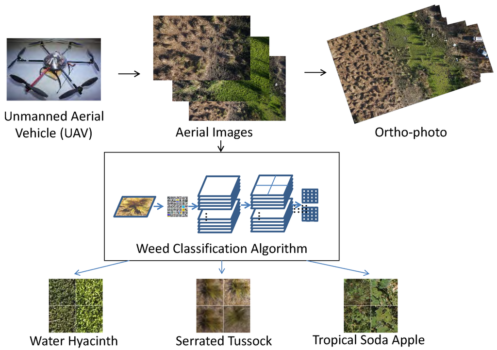 Remotesensing 06 12037 g001 1024