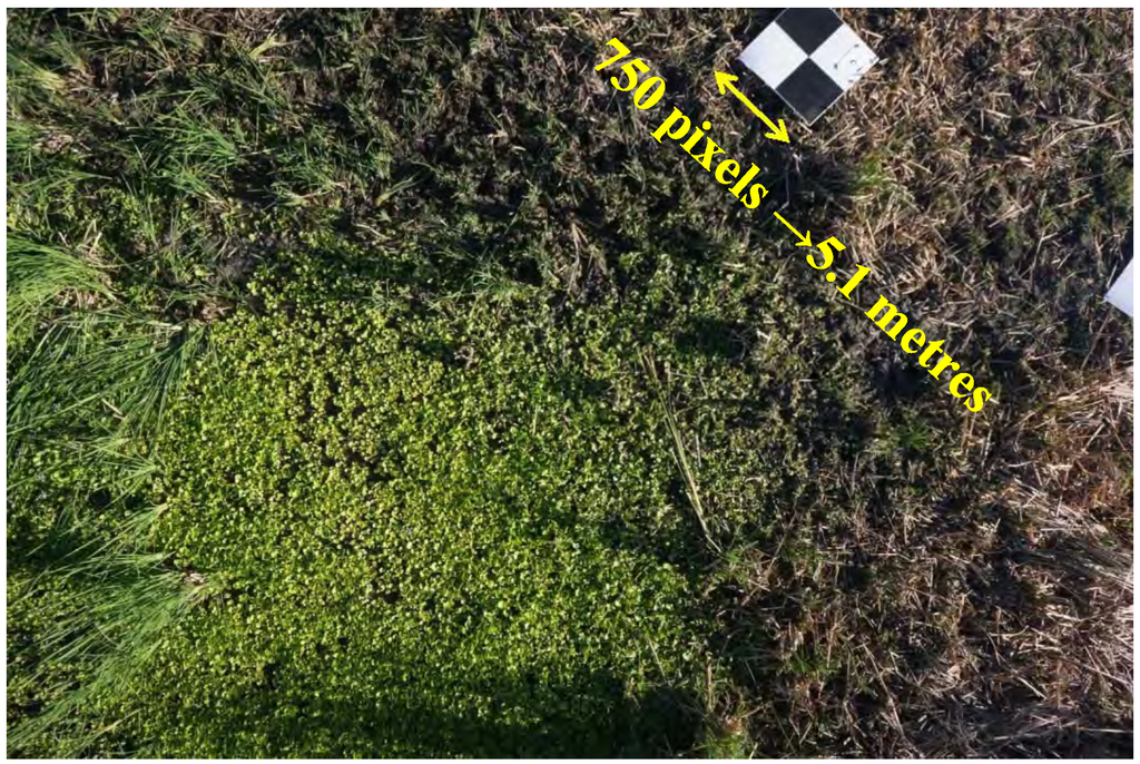 Remotesensing 06 12037 g002 1024