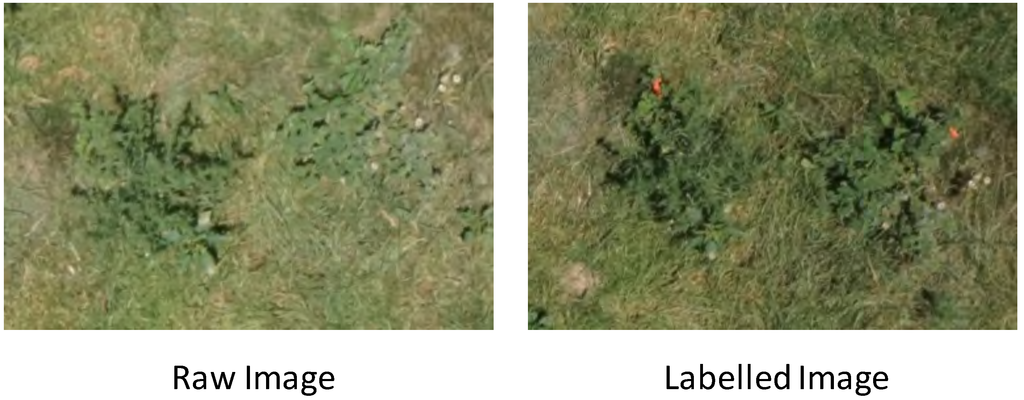 Remotesensing 06 12037 g006 1024