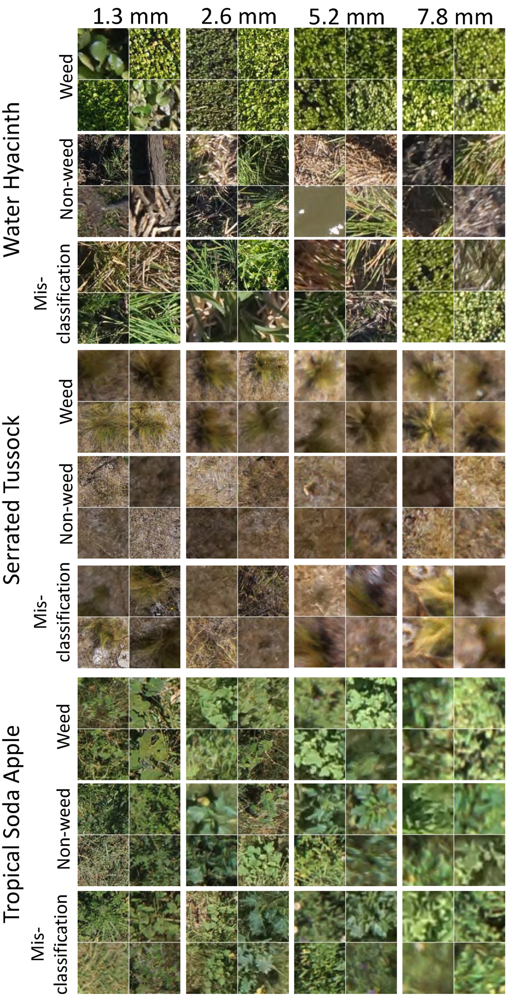 Remotesensing 06 12037 g008 1024