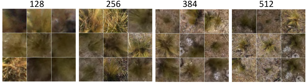 Remotesensing 06 12037 g009 1024