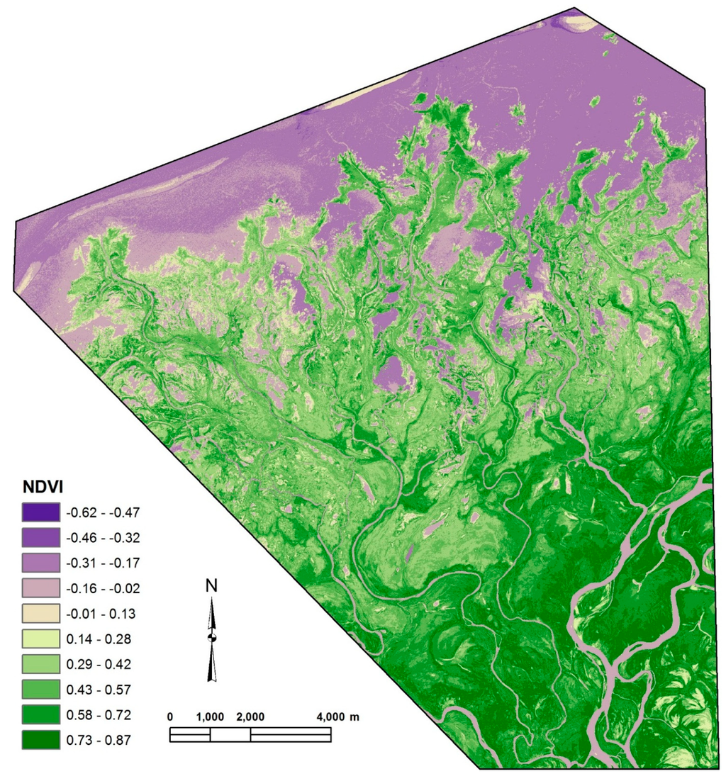 Remotesensing 06 12187 g003 1024