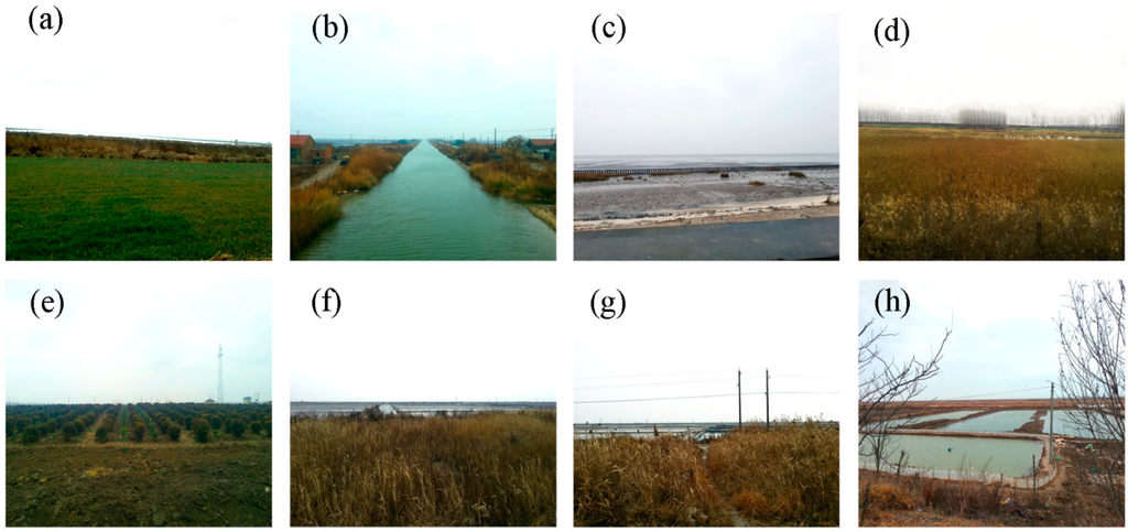 Remotesensing 06 12575 g002 1024